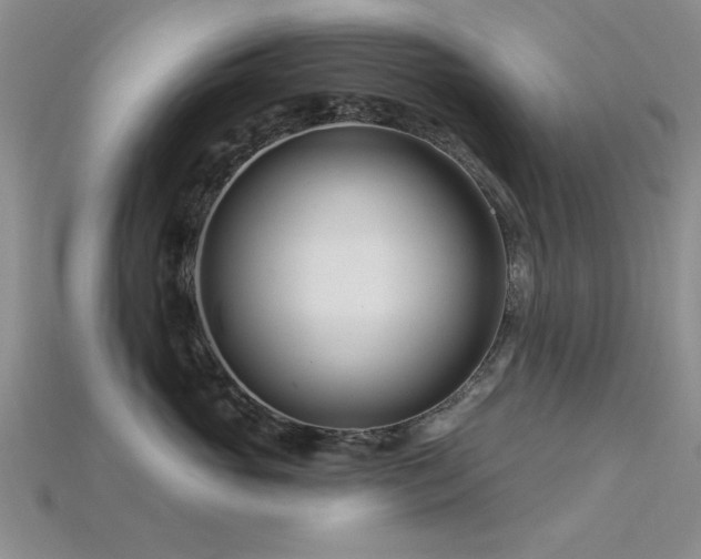 X0000115810765200911131420