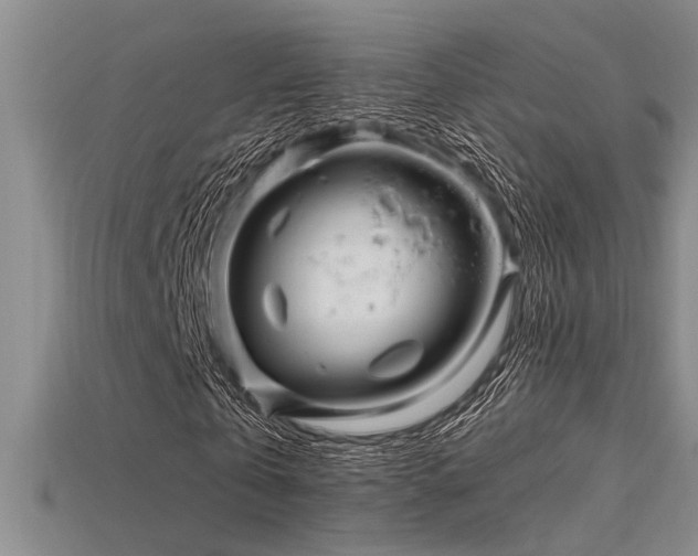X0000115810769200911131420