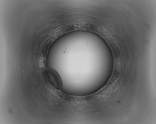 X0000115810770200911131420