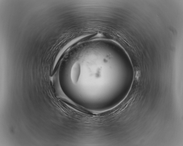 X0000115810771200911131420