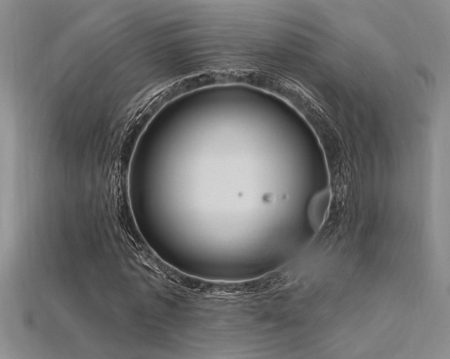 X0000115810773200911131420
