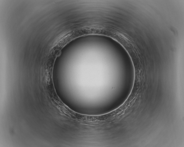 X0000115810774200911131420