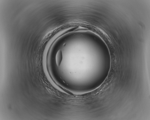 X0000115810775200911131420