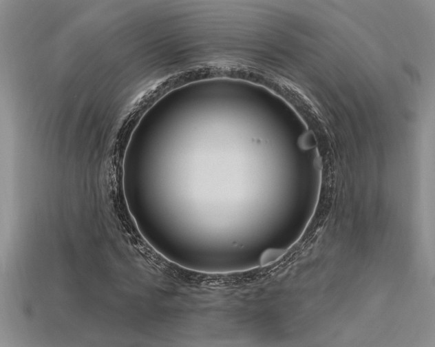 X0000115810776200911131420