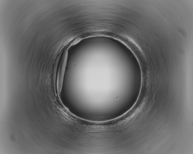 X0000115810777200911131420