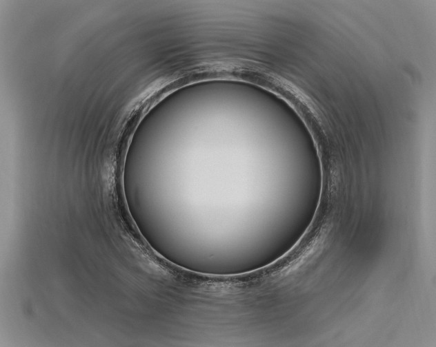 X0000115810778200911131420