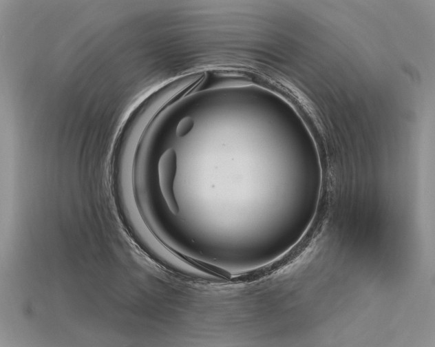 X0000115810779200911131420
