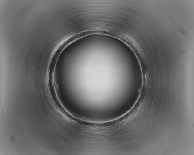 X0000115810780200911131419