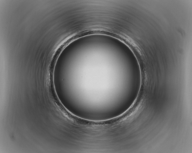 X0000115810782200911131419