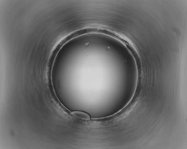 X0000115810783200911131419