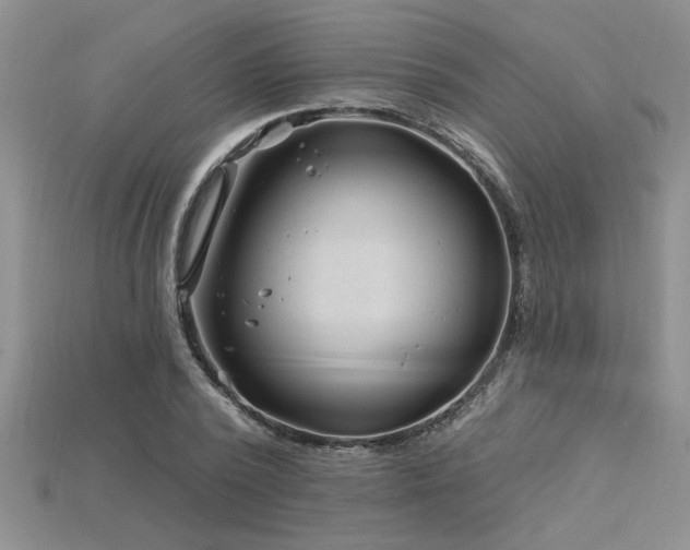 X0000115810784200911131419