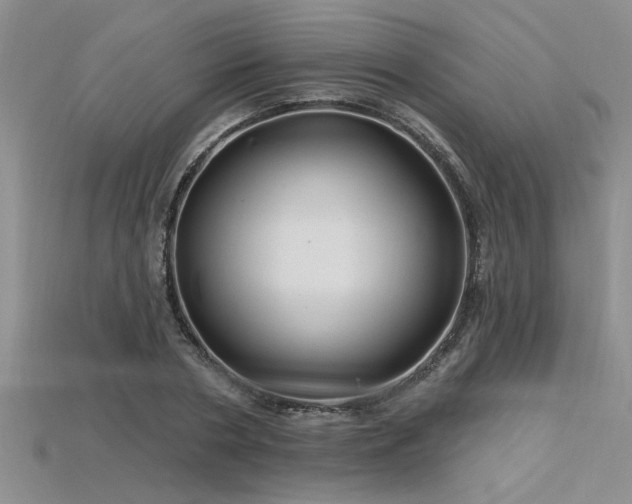 X0000115810786200911131419