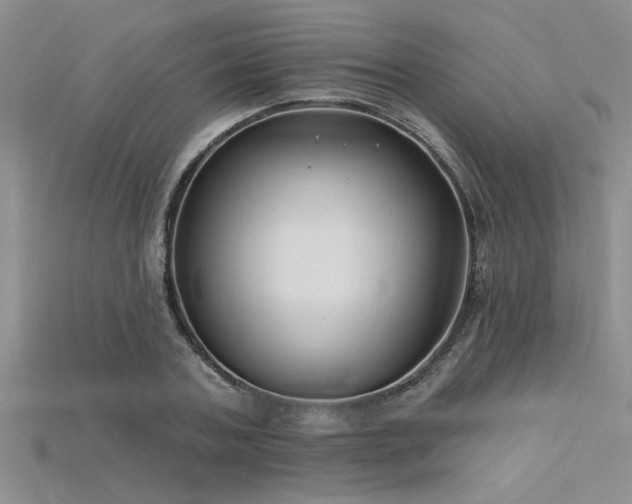 X0000115810787200911131419