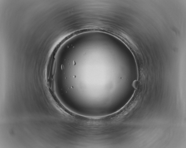 X0000115810788200911131419