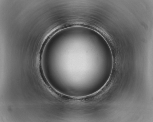 X0000115810790200911131419