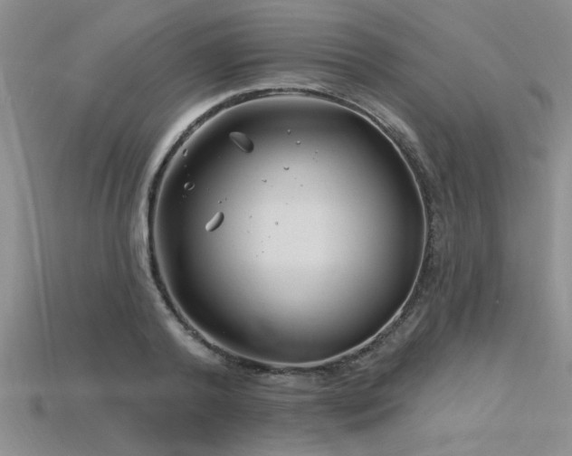 X0000115810792200911131419