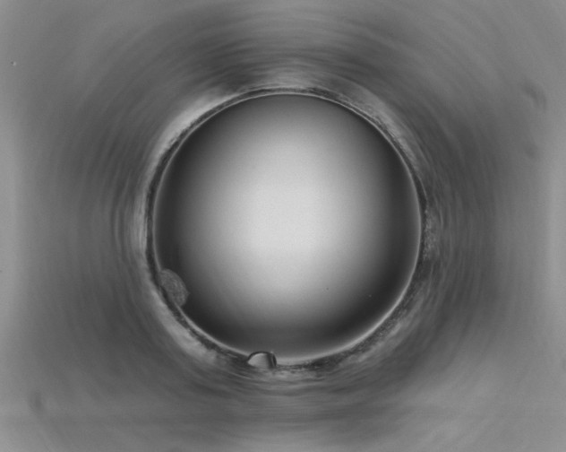 X0000115810795200911131419