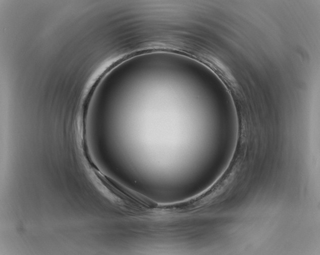 X0000115810796200911131419