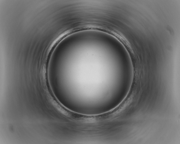 X0000115810798200911131419