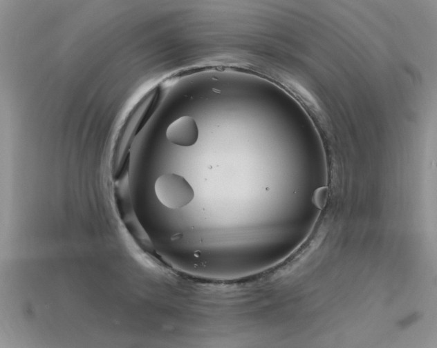 X0000115810800200911131419