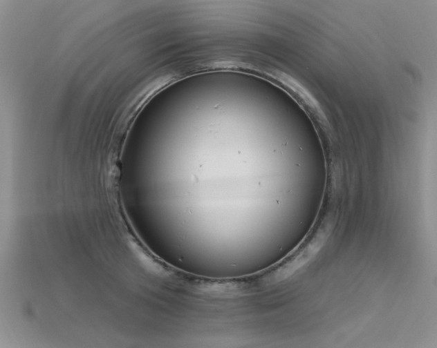 X0000115810801200911131419