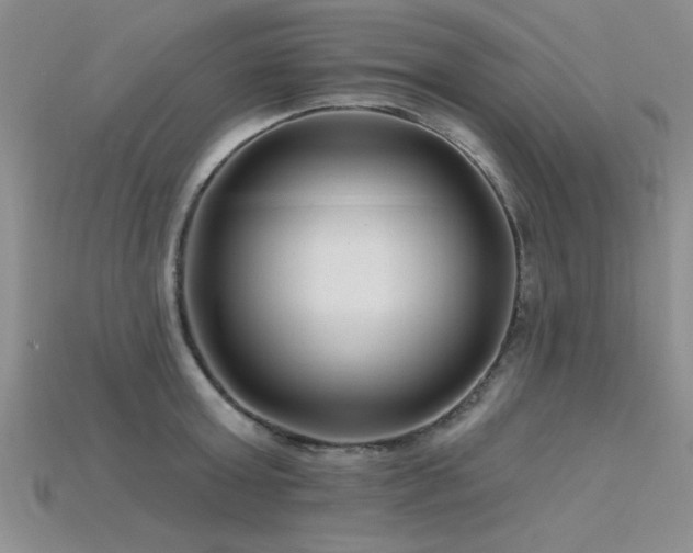 X0000115810803200911131419