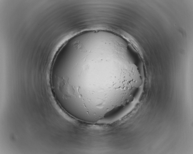 X0000115810805200911131419