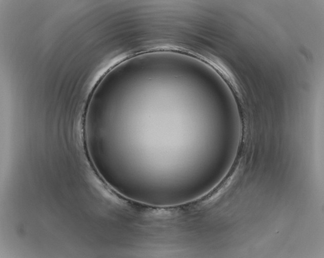X0000115810806200911131419