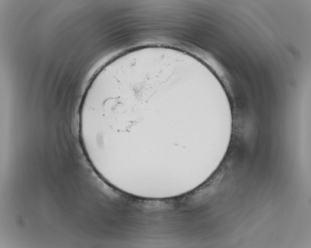 X0000115810807200911131419