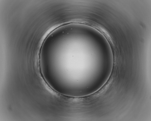 X0000115810808200911131419