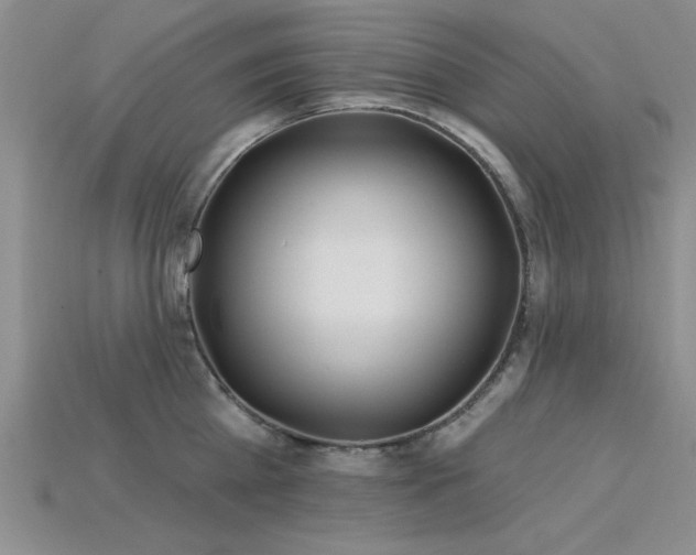 X0000115810809200911131419