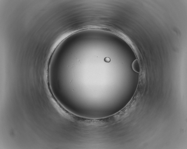 X0000115810811200911131419