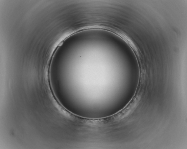 X0000115810813200911131419