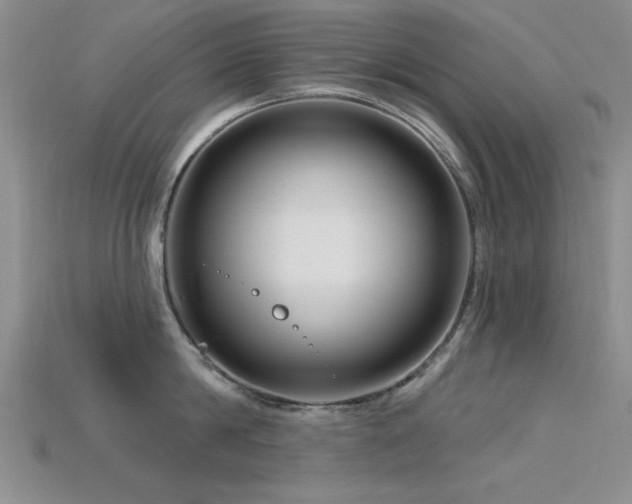 X0000115810814200911131419