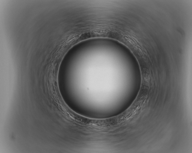 X0000115810817200911131418