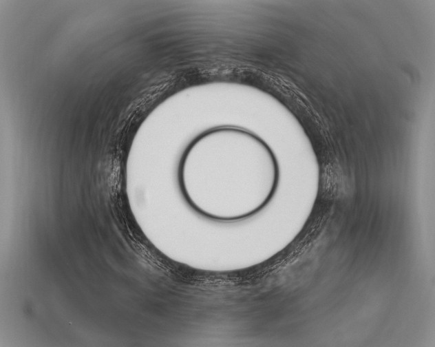 X0000115810820200911131418