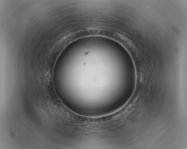 X0000115810821200911131418