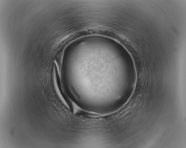 X0000115810822200911131418
