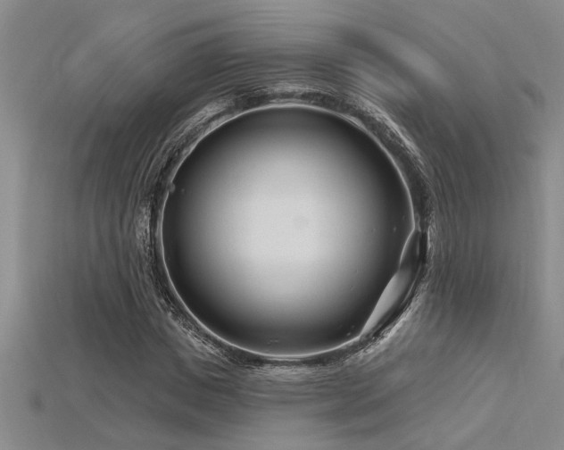 X0000115810825200911131419