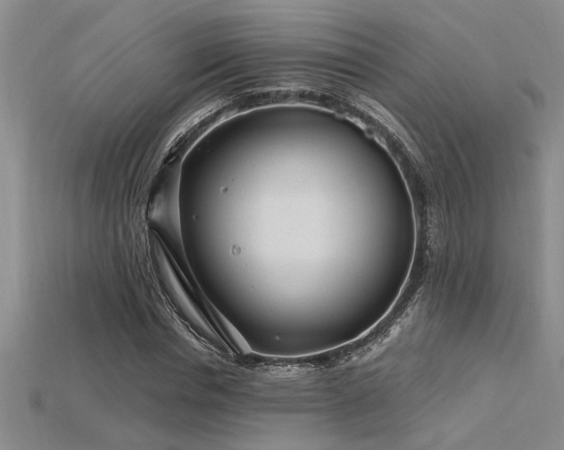 X0000115810826200911131419