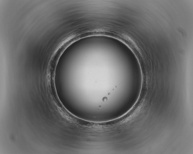 X0000115810827200911131419
