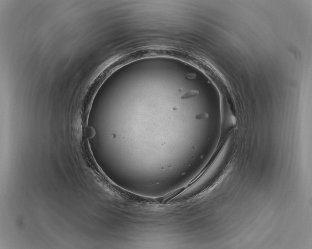 X0000115810829200911131419