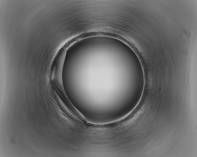 X0000115810830200911131419