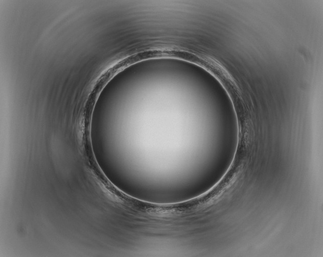 X0000115810831200911131419