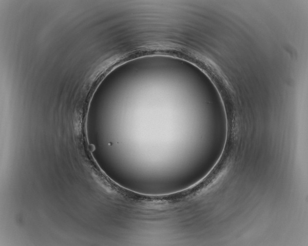 X0000115810833200911131419