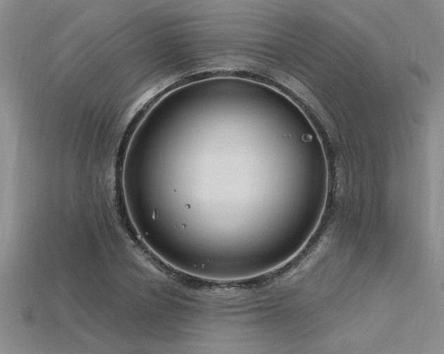 X0000115810834200911131419