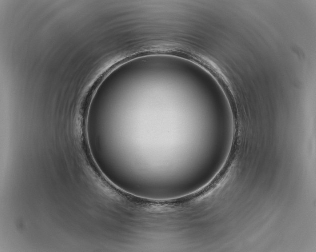 X0000115810835200911131419