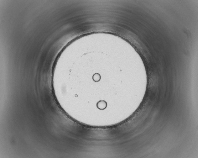 X0000115810836200911131419