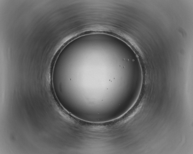 X0000115810837200911131419