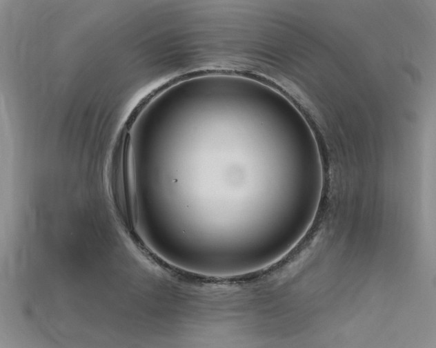 X0000115810838200911131419